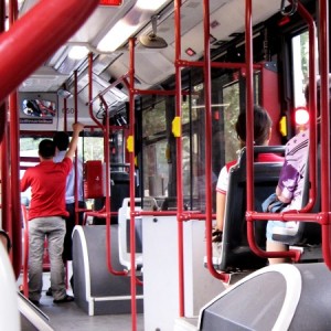 rossosuatobus (2)