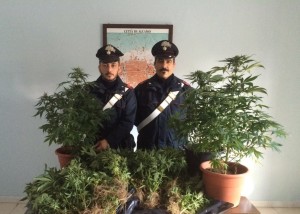 Carabinieri Alcamo